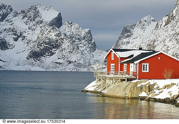 Wintery  Nordic landscape with red holiday home standing directly by the fjord  rorbuer  sea  mountains  snow  Hamnøy  Nordland  Lofoten  Norway  Europe