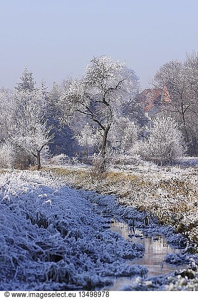 Wintry landscape  frost-covered trees and a stream  Thuringia  Germany  Europe