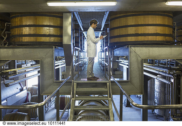 Winzer in Laborkittel auf Plattform im Weinkeller