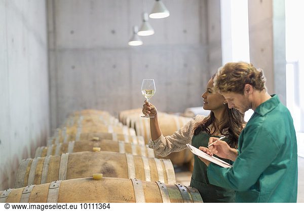 Winzer untersuchen Weißwein im Weinkeller