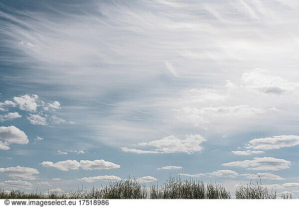 Wispy Clouds in Blue Sky