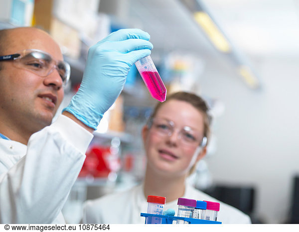 Wissenschaftler bereiten Medien für die Parasitenkultur im Labor vor  Jenner-Institut  Universität Oxford