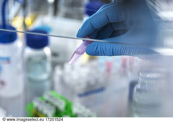 Wissenschaftler hält Fläschchen mit chemischer Formel zur Analyse im Labor