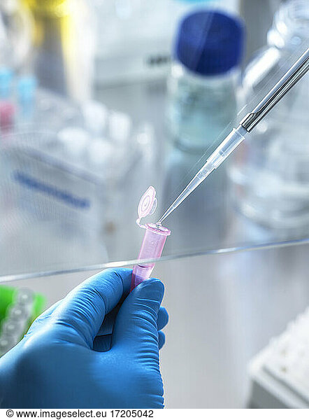 Wissenschaftler pipettiert DNA-Probe in Fläschchen im Labor