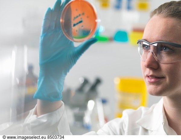 Wissenschaftlerin untersucht mikrobiologische Kulturen in einer Petrischale