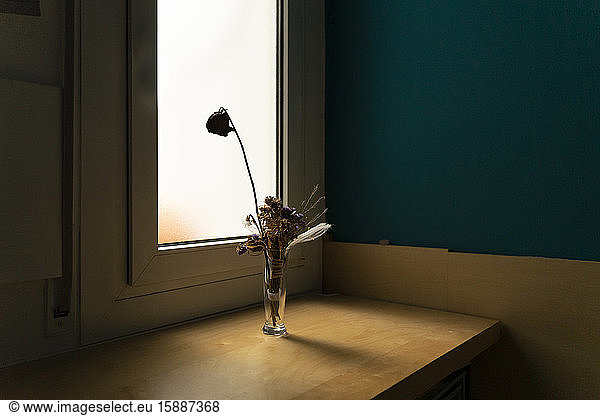 Withered flowers in a vase at the window