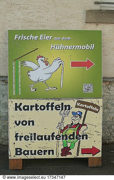 Witziges Reklameschild Kartoffeln von freilaufenden Bauern  Hessen  Deutschland  Europa