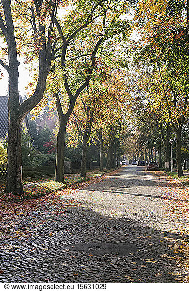 Wohngebiet im Herbst  Berlin  Deutschland