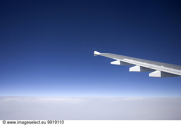 Wolke über fliegen fliegt fliegend Flug Flüge Close-up Flugzeug Luftfahrzeug