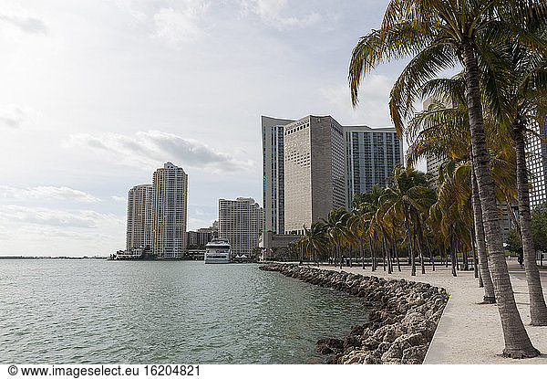 Wolkenkratzer am Ufer  Downtown Miami  Miami  Florida  USA