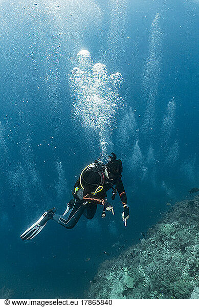 Woman ascending into the clear water at the Tubbataha Reef