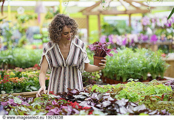 Woman buying plants standing at nursery