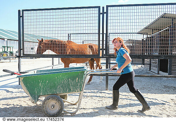 Woman carrying a wheelbarrow at a horse riding stable.