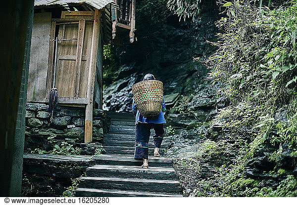 Woman carrying basket up steps  rear view  Fenghuang  Hunan  China