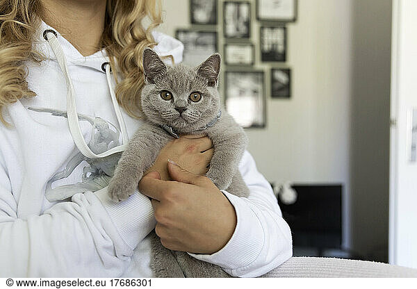 Woman carrying British shorthair cat at home