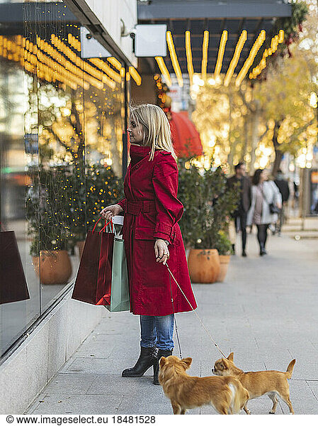 Woman carrying shopping bags standing with Chihuahua dogs on footpath