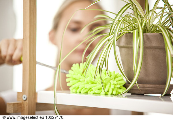 Woman cleansing shelf with potted plant