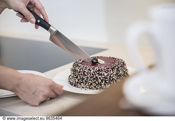 Woman cutting a chocolate cake in a kitchen