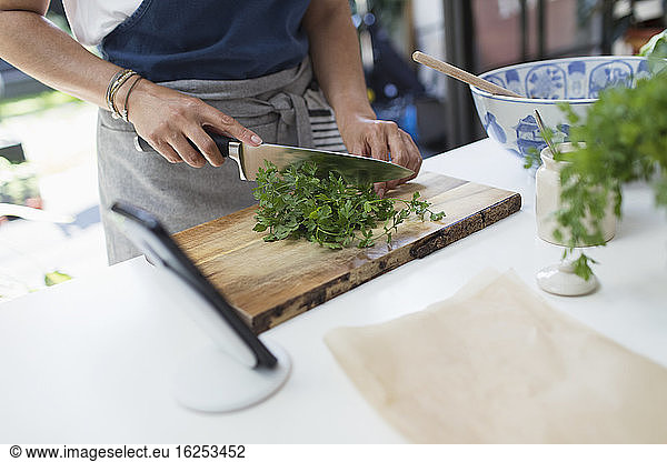 Woman cutting fresh cilantro with knife on cutting board