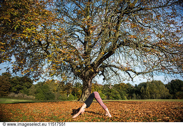Woman doing yoga in park on autumn day