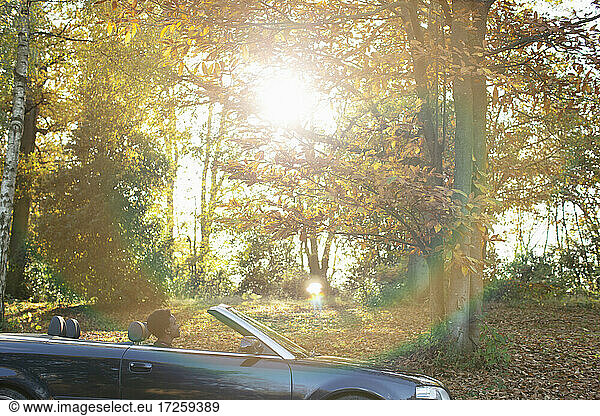 Woman driving convertible in sunny idyllic autumn park