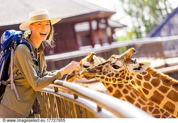 Woman enjoying the Giraffes at a local Elephant and Giraffe sanctuary  Kenya  East Africa  Africa