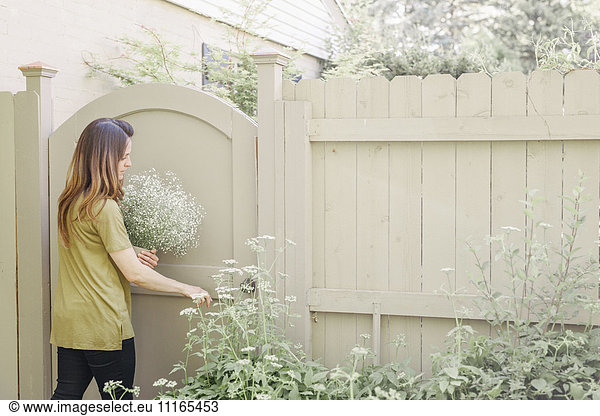 Woman entering a garden through a gate  carrying a bunch of white flowers.