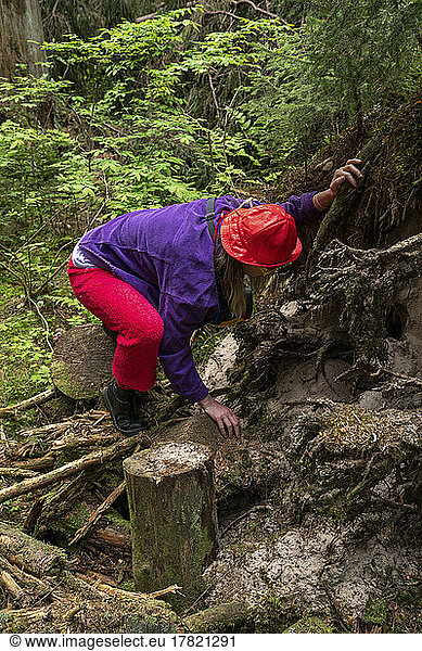 Woman examining roots of tree in forest