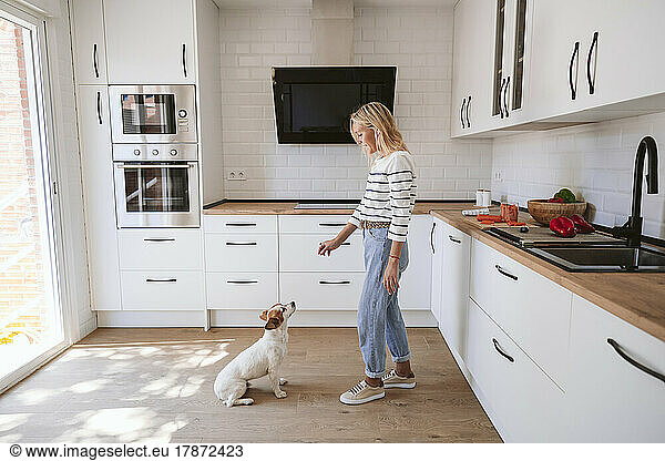 Woman feeding cute dog in domestic kitchen