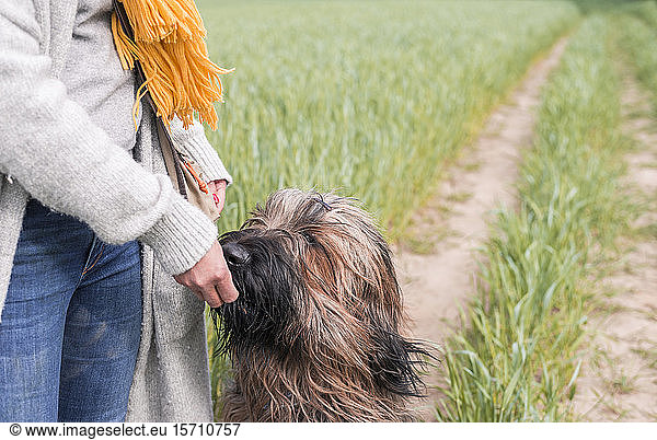 Woman feeding dog at a field