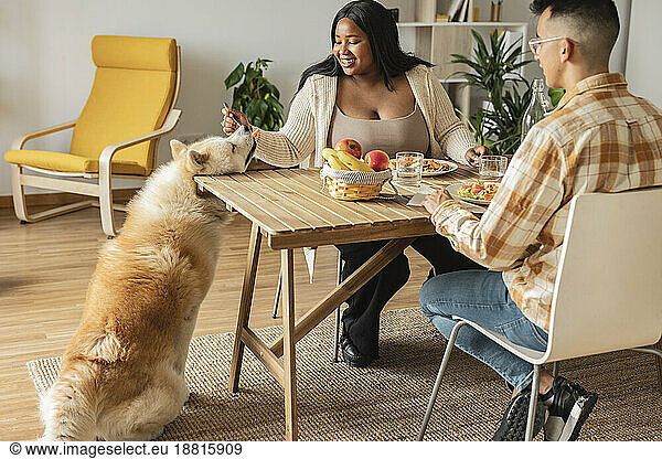 Woman feeding dog at breakfast table