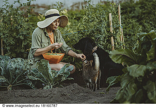 Woman feeding green peas to dog and cat in garden