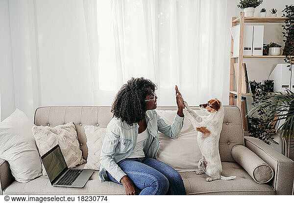 Woman giving high-five to dog on sofa at home