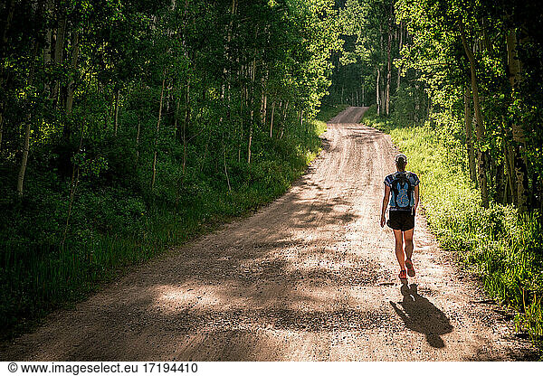 Woman hikes along a sunny dirt road surrounded by green aspen trees