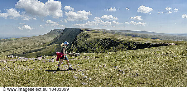 Woman hiking at mountains on sunny day  Brecon Beacons  Wales