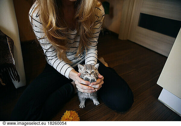 Woman holding a scottish kitten