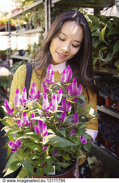Woman holding and looking at potted plant