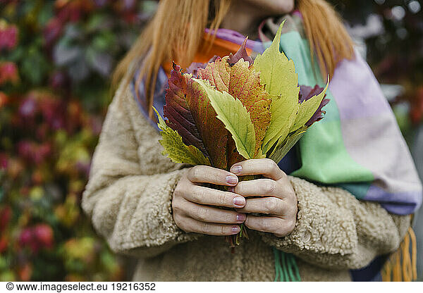 Woman holding bunch of autumn leaves at park