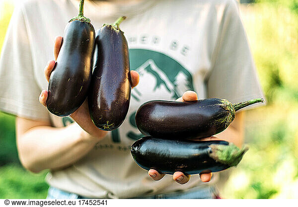 woman holding eggplants in their hands