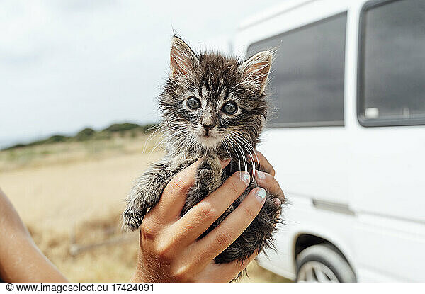Woman holding kitten near camper van