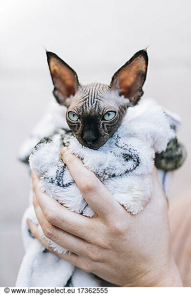 Woman holding kitten wrapped in towel