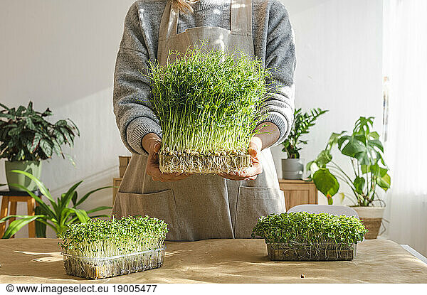 Woman holding microgreens near table at home