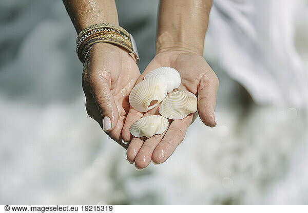 Woman holding seashells in hand at beach