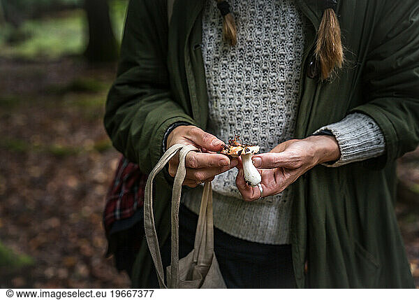 Woman In The Forest Identifying Mushrooms In Denmark