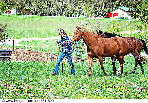 Woman leading horses in farmyard.