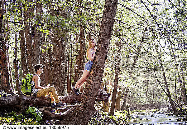 Woman leaning on tree while man sitting on fallen tree trunk