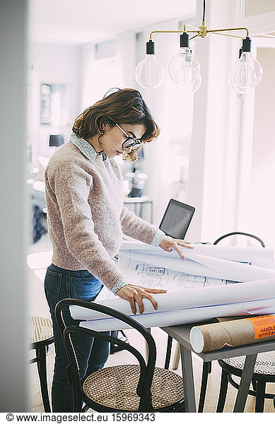 Woman looking at blueprint working at home