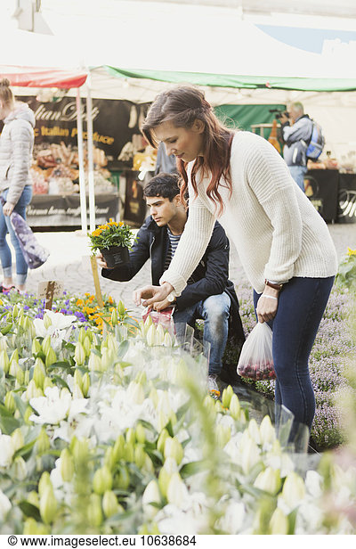 Woman looking at flowers while friend holding potted plant in market