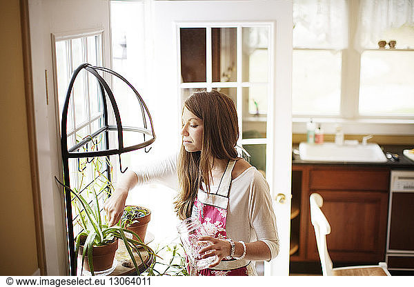 Woman looking at potted plant while standing by window at home