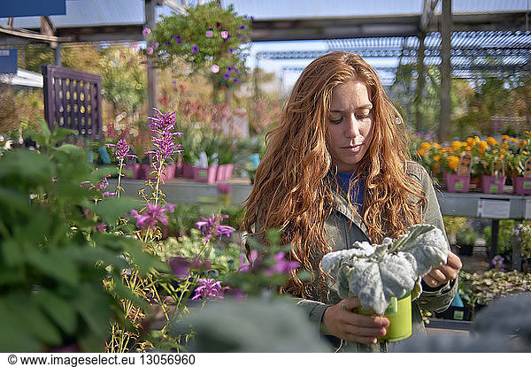 Woman looking at potted plant while standing in plant nursery